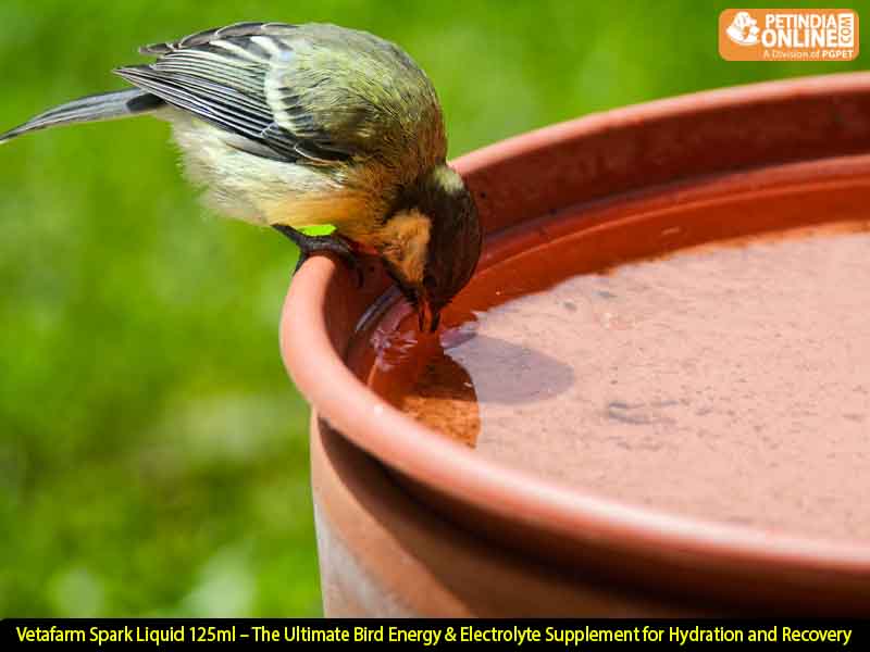 Vetafarm Spark Liquid 125ml – The Ultimate Bird Energy & Electrolyte Supplement for Hydration and Recovery