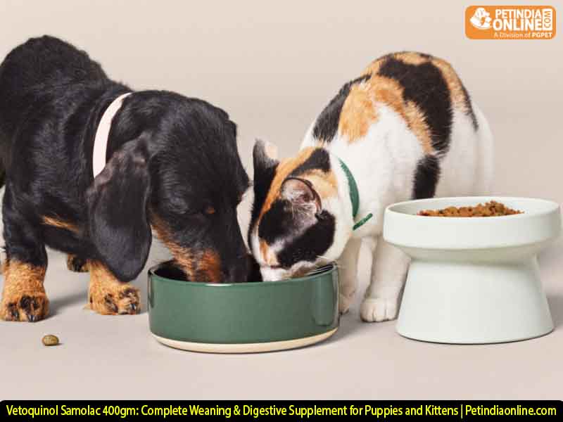 Vetoquinol Samolac 400gm: Complete Weaning & Digestive Supplement for Puppies and Kittens | Petindiaonline.com