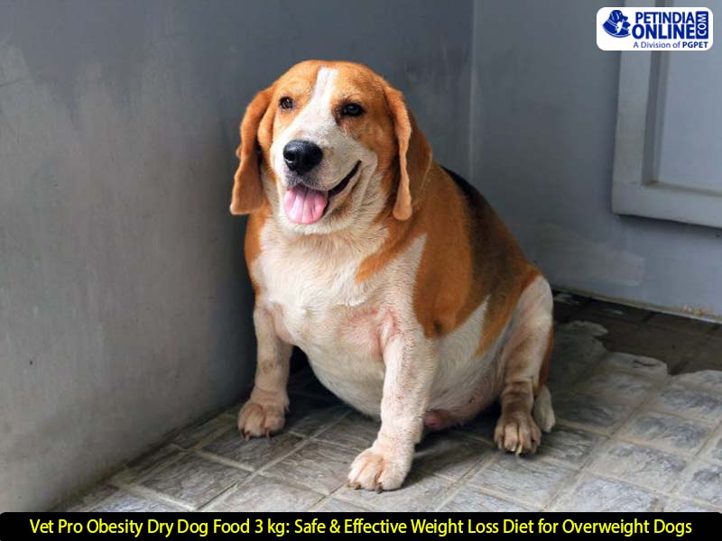 Vet Pro Obesity Dry Dog Food 3 kg: Safe & Effective Weight Loss Diet for Overweight Dogs