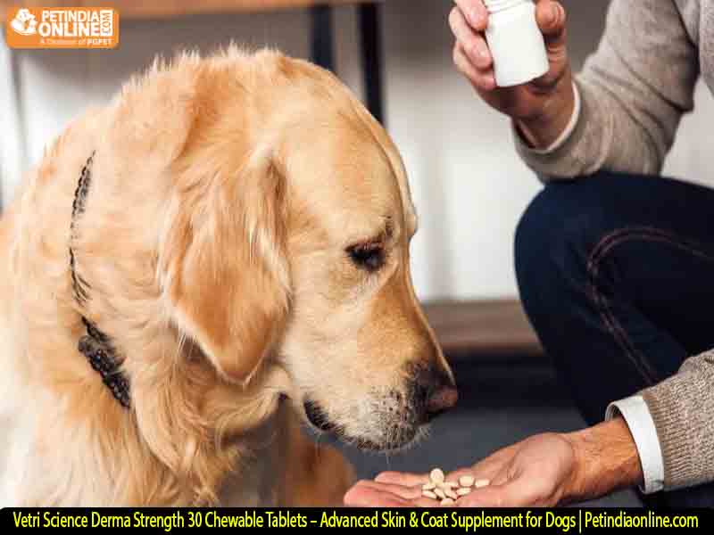 Vetri Science Derma Strength 30 Chewable Tablets – Advanced Skin & Coat Supplement for Dogs | Petindiaonline.com