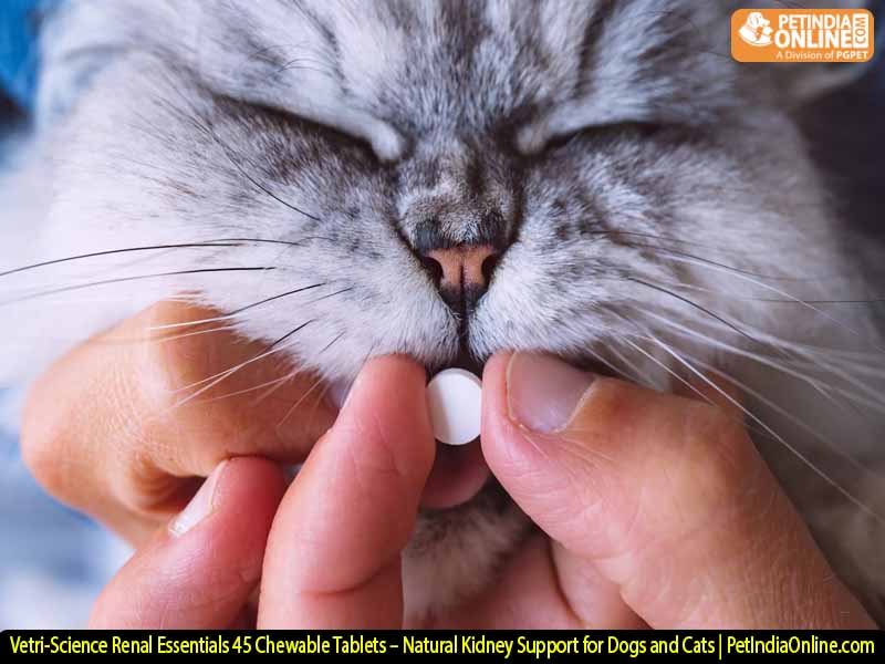 Vetri-Science Renal Essentials 45 Chewable Tablets – Natural Kidney Support for Dogs and Cats | PetIndiaOnline.com