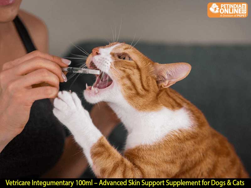 Vetricare Integumentary 100ml – Advanced Skin Support Supplement for Dogs & Cats