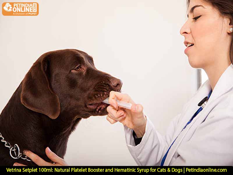 Vetrina Setplet 100ml: Natural Platelet Booster and Hematinic Syrup for Cats & Dogs | Petindiaonline.com