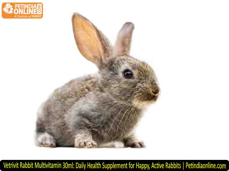 Vetrivit Rabbit Multivitamin 30ml: Daily Health Supplement for Happy, Active Rabbits | Petindiaonline.com