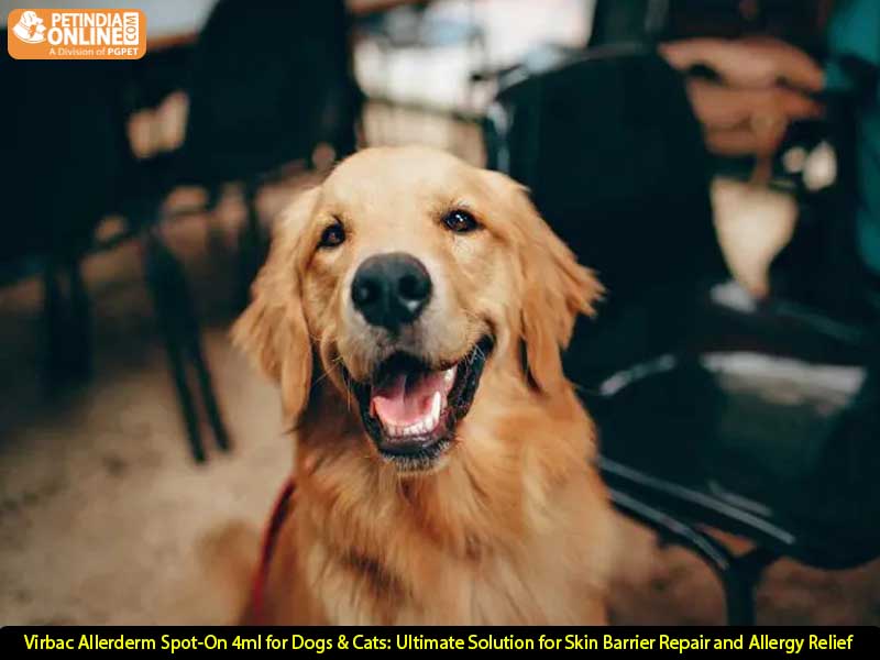 Virbac Allerderm Spot-On 4ml for Dogs & Cats: Ultimate Solution for Skin Barrier Repair and Allergy Relief