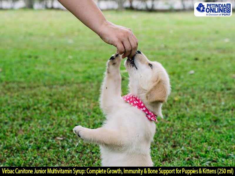 Virbac Canitone Junior Multivitamin Syrup: Complete Growth, Immunity & Bone Support for Puppies & Kittens (250 ml)