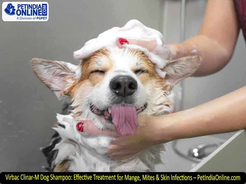 Virbac Clinar-M Dog Shampoo: Effective Treatment for Mange, Mites & Skin Infections – PetIndiaOnline.com