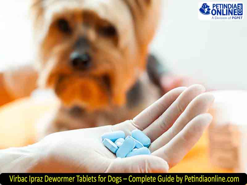 Virbac Ipraz Dewormer Tablets for Dogs – Complete Guide by Petindiaonline.com
