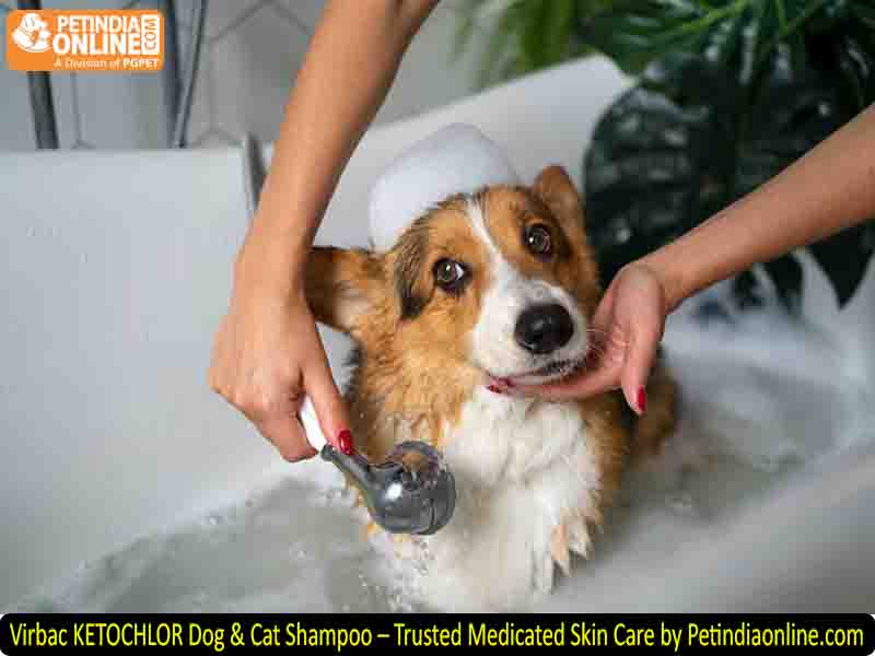 Virbac KETOCHLOR Dog & Cat Shampoo – Trusted Medicated Skin Care by Petindiaonline.com
