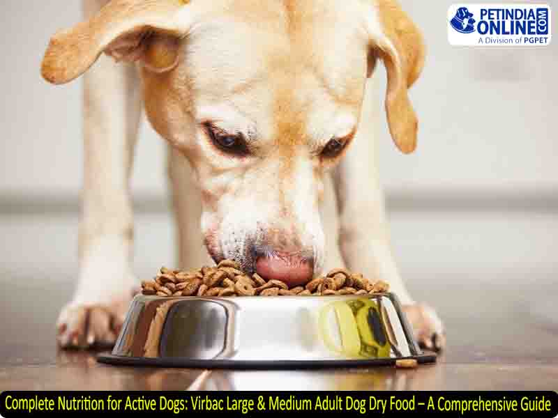 Complete Nutrition for Active Dogs: Virbac Large & Medium Adult Dog Dry Food – A Comprehensive Guide