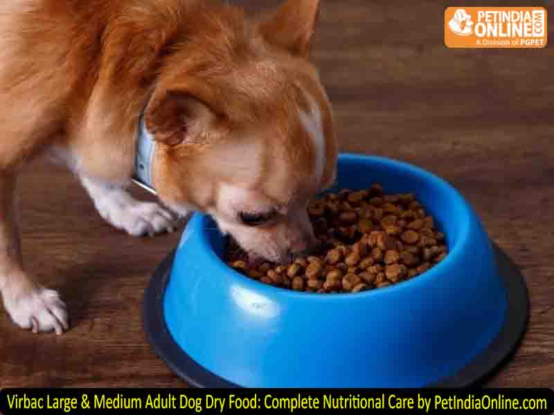 Virbac Large & Medium Adult Dog Dry Food: Complete Nutritional Care by PetIndiaOnline.com