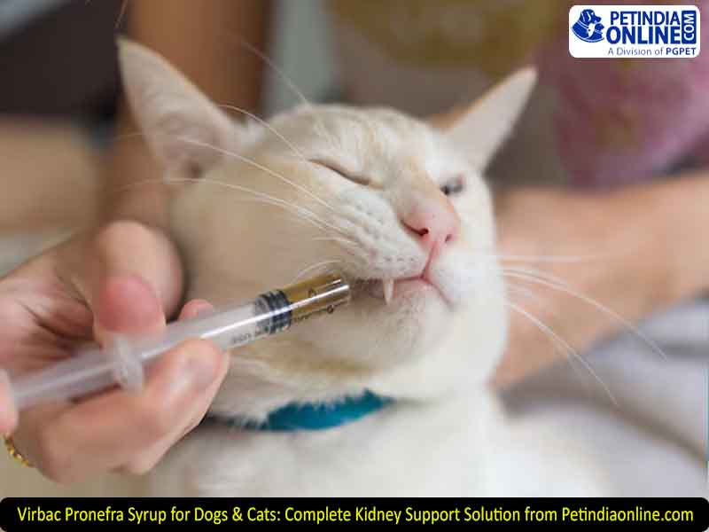 Virbac Pronefra Syrup for Dogs & Cats: Complete Kidney Support Solution from Petindiaonline.com