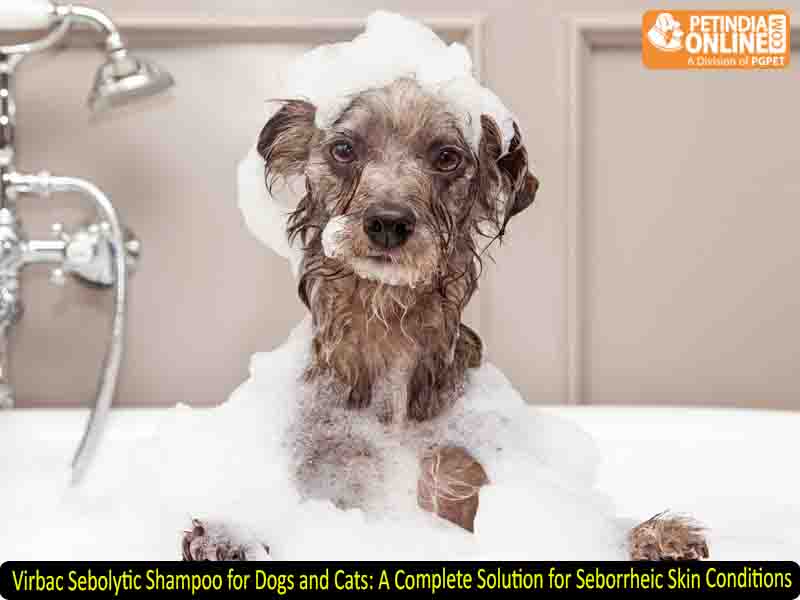 Virbac Sebolytic Shampoo for Dogs and Cats: A Complete Solution for Seborrheic Skin Conditions