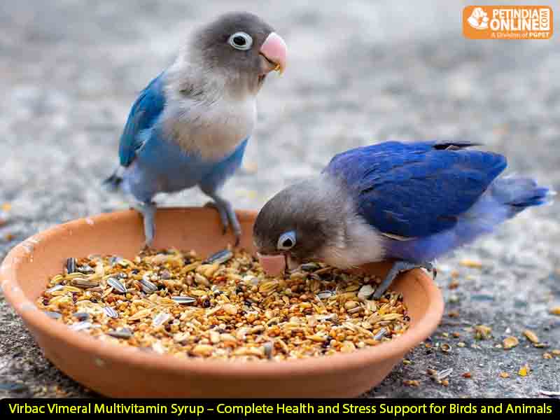 Virbac Vimeral Multivitamin Syrup – Complete Health and Stress Support for Birds and Animals