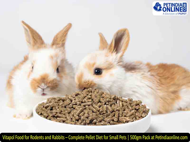 Vitapol Food for Rodents and Rabbits – Complete Pellet Diet for Small Pets | 500gm Pack at Petindiaonline.com