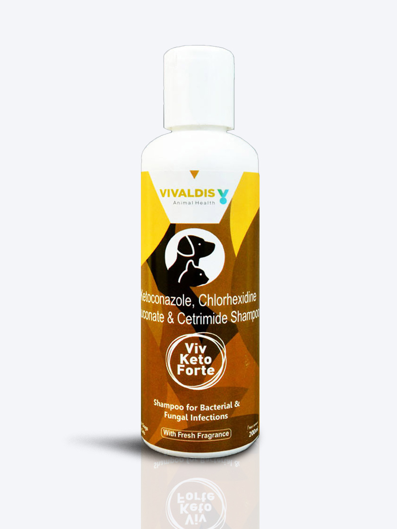Buy Vivaldis Viv Keto Forte Dog Shampoo 200ml Online – Petindiaonline.com