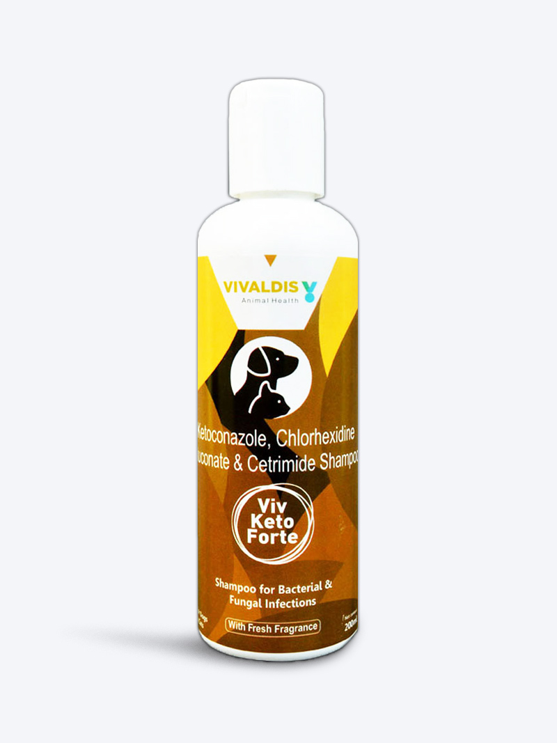 Buy Vivaldis Viv Keto Forte Dog & Cat Shampoo at a low price in online India on petindiaonline