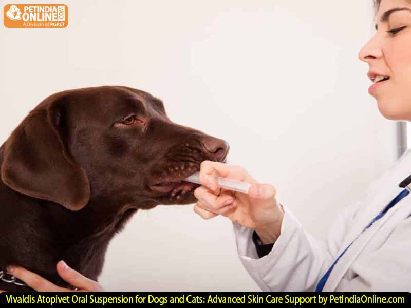 Vivaldis Atopivet Oral Suspension for Dogs and Cats: Advanced Skin Care Support by PetIndiaOnline.com