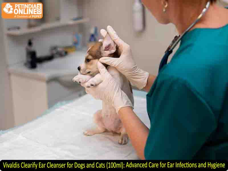 Vivaldis Clearify Ear Cleanser for Dogs and Cats (100ml): Advanced Care for Ear Infections and Hygiene