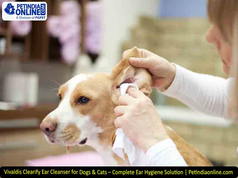 Vivaldis Clearify Ear Cleanser for Dogs & Cats – Complete Ear Hygiene Solution | Petindiaonline.com