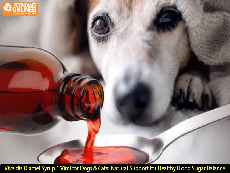 Vivaldis Diamel Syrup 150ml for Dogs & Cats: Natural Support for Healthy Blood Sugar Balance