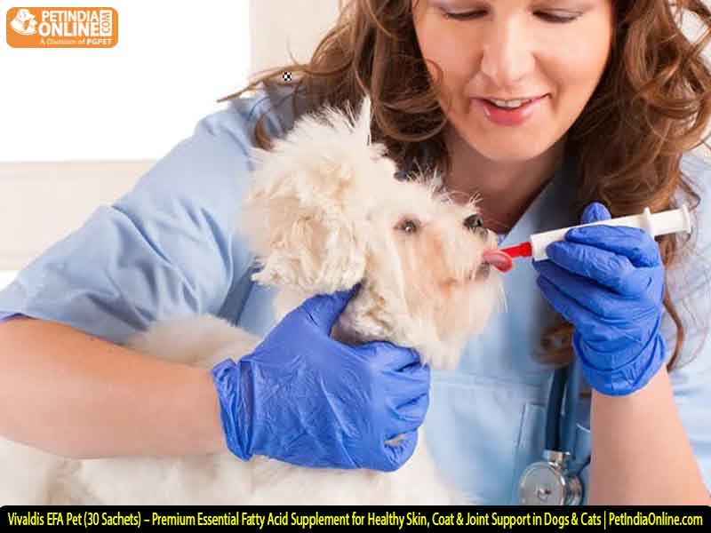 Vivaldis EFA Pet (30 Sachets) – Premium Essential Fatty Acid Supplement for Healthy Skin, Coat & Joint Support in Dogs & Cats | PetIndiaOnline.com