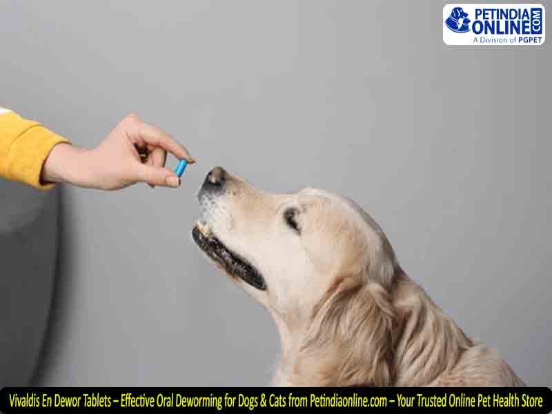 Vivaldis En Dewor Tablets – Effective Oral Deworming for Dogs & Cats from Petindiaonline.com – Your Trusted Online Pet Health Store