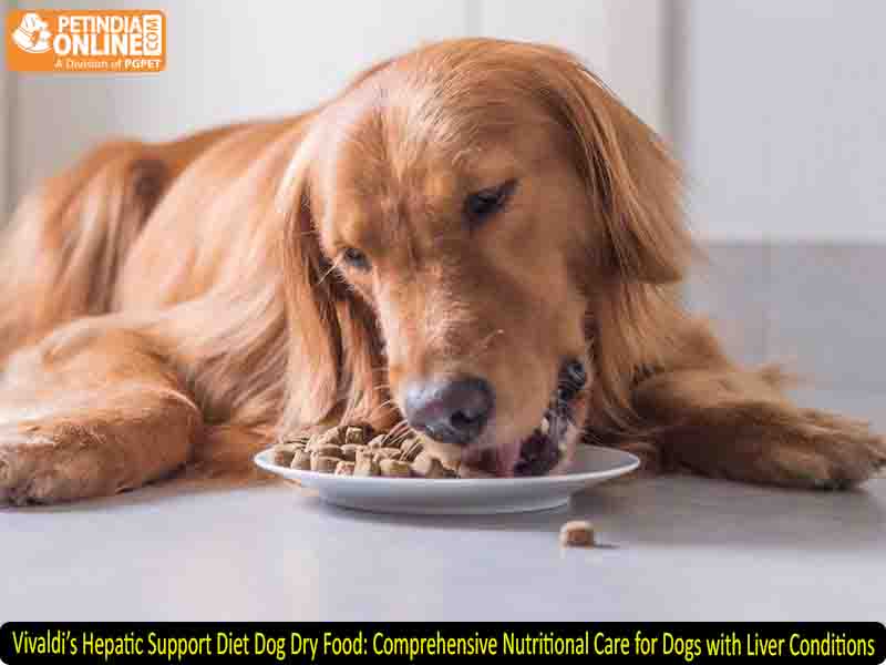 Vivaldi’s Hepatic Support Diet Dog Dry Food: Comprehensive Nutritional Care for Dogs with Liver Conditions