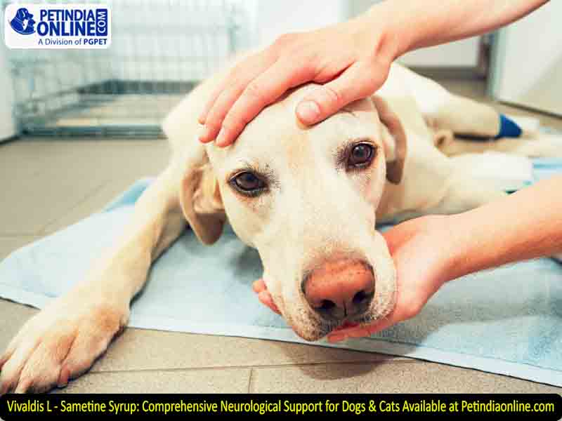 Vivaldis L - Sametine Syrup: Comprehensive Neurological Support for Dogs & Cats Available at Petindiaonline.com