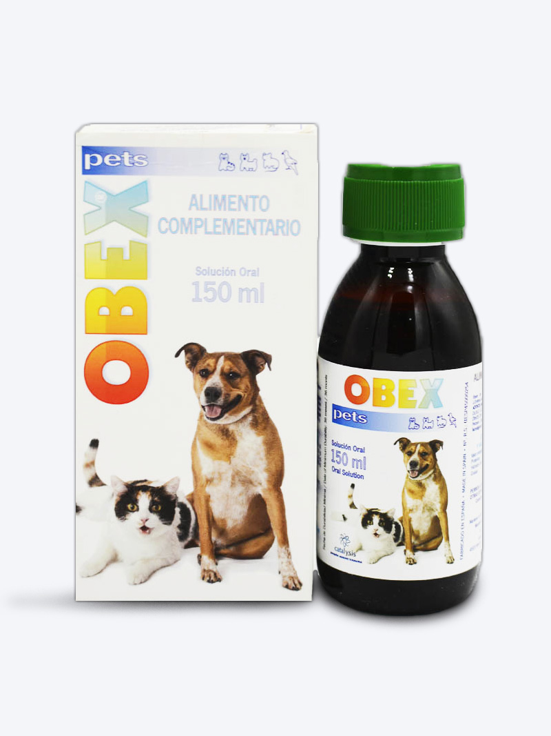 Buy Vivaldis Obex Syrup 150ml in online India on Petindiaonline