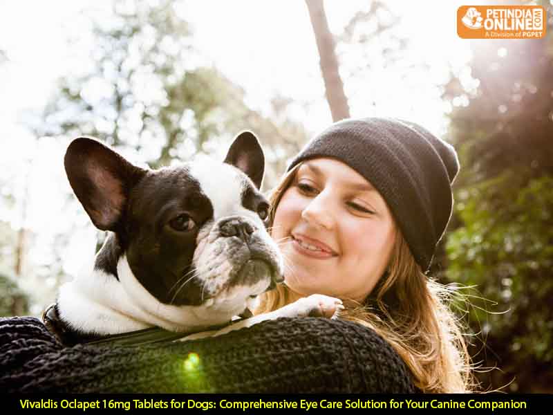 Vivaldis Oclapet 16mg Tablets for Dogs: Comprehensive Eye Care Solution for Your Canine Companion