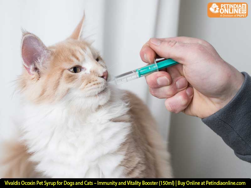 Vivaldis Ocoxin Pet Syrup for Dogs and Cats – Immunity and Vitality Booster (150ml) | Buy Online at Petindiaonline.com