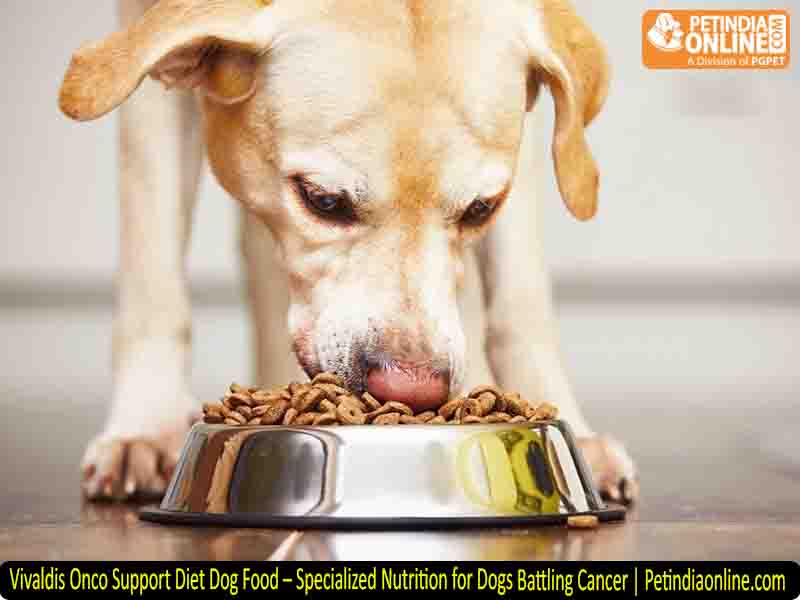 Vivaldis Onco Support Diet Dog Food – Specialized Nutrition for Dogs Battling Cancer | Petindiaonline.com