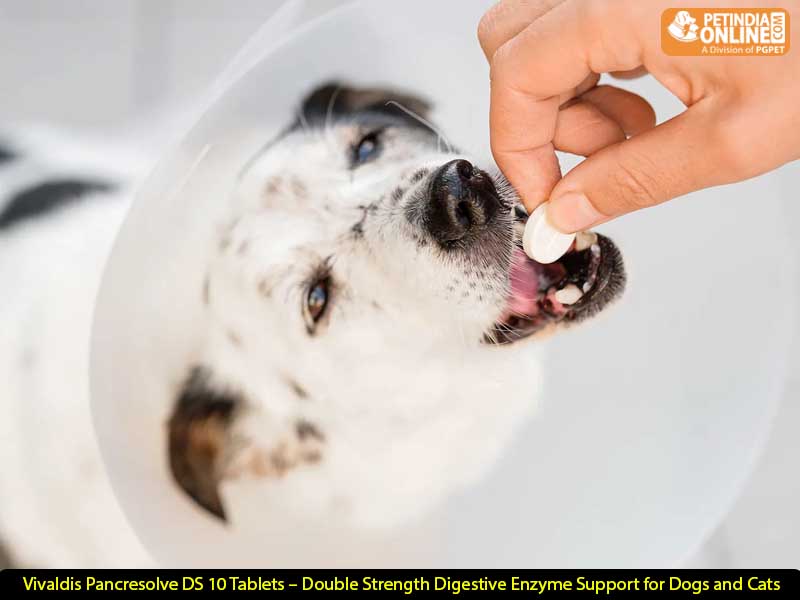 Vivaldis Pancresolve DS 10 Tablets – Double Strength Digestive Enzyme Support for Dogs and Cats