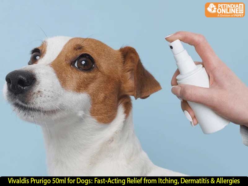 Vivaldis Prurigo 50ml for Dogs: Fast-Acting Relief from Itching, Dermatitis & Allergies