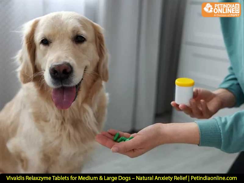 Vivaldis Relaxzyme Tablets for Medium & Large Dogs – Natural Anxiety Relief | Petindiaonline.com