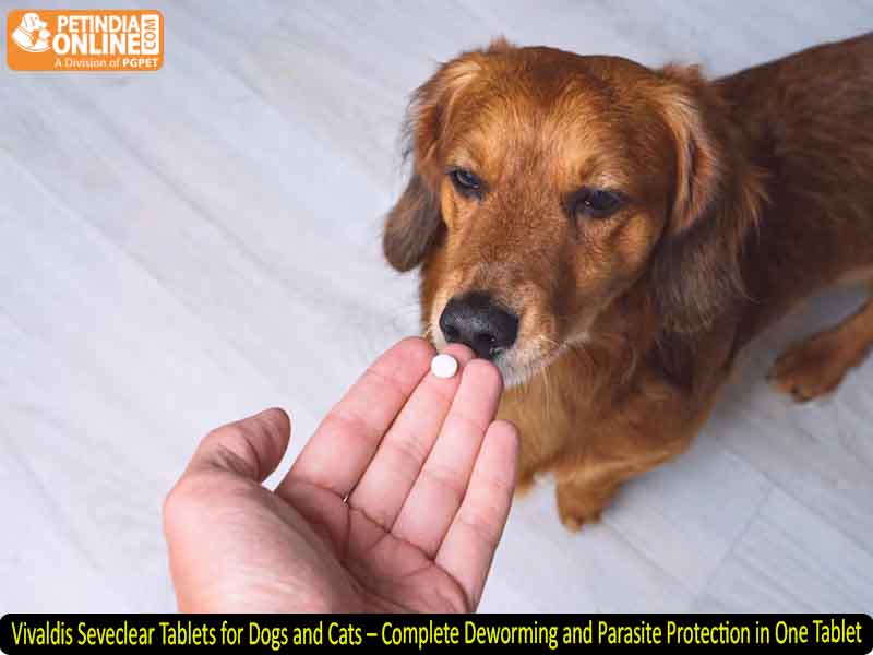 Vivaldis Seveclear Tablets for Dogs and Cats – Complete Deworming and Parasite Protection in One Tablet