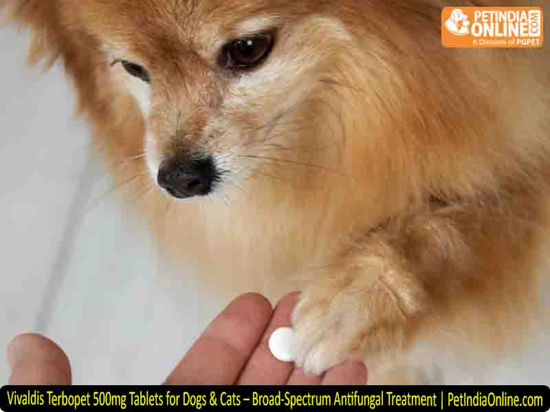 Vivaldis Terbopet 500mg Tablets for Dogs & Cats – Broad-Spectrum Antifungal Treatment | PetIndiaOnline.com