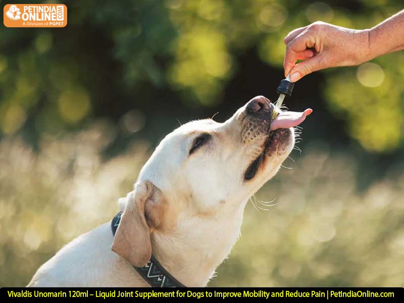 Vivaldis Unomarin 120ml – Liquid Joint Supplement for Dogs to Improve Mobility and Reduce Pain | PetIndiaOnline.com