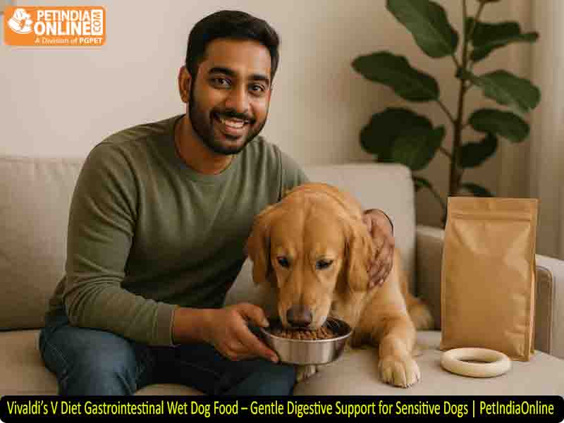 Vivaldi’s V Diet Gastrointestinal Wet Dog Food – Gentle Digestive Support for Sensitive Dogs | PetIndiaOnline