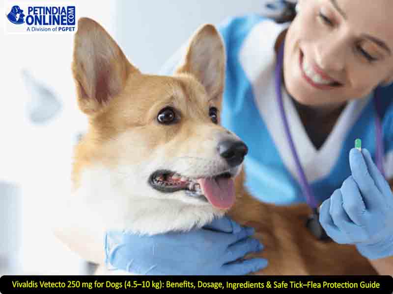 Vivaldis Vetecto 250 mg for Dogs (4.5–10 kg): Benefits, Dosage, Ingredients & Safe Tick–Flea Protection Guide