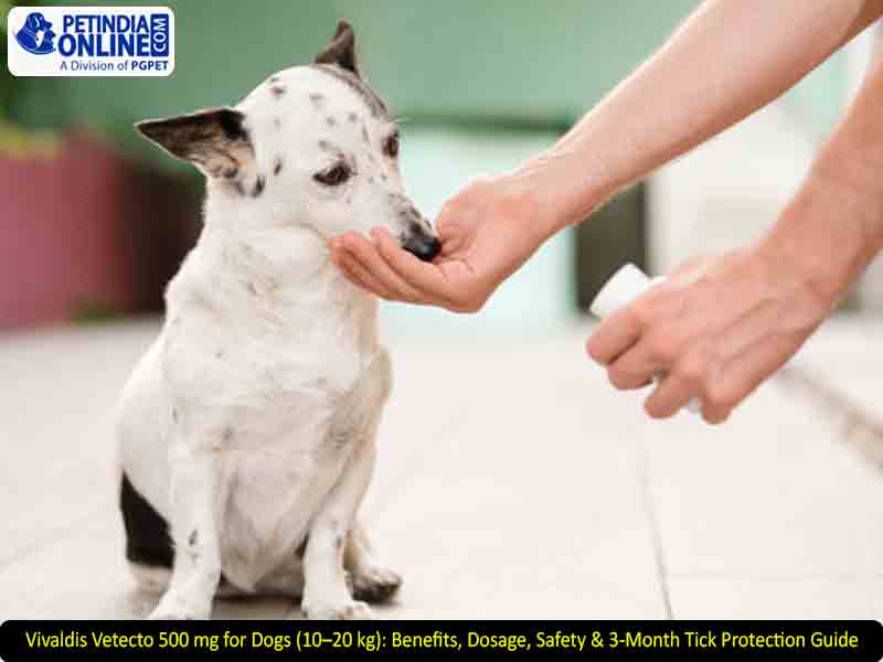 Vivaldis Vetecto 500 mg for Dogs (10–20 kg): Benefits, Dosage, Safety & 3-Month Tick Protection Guide