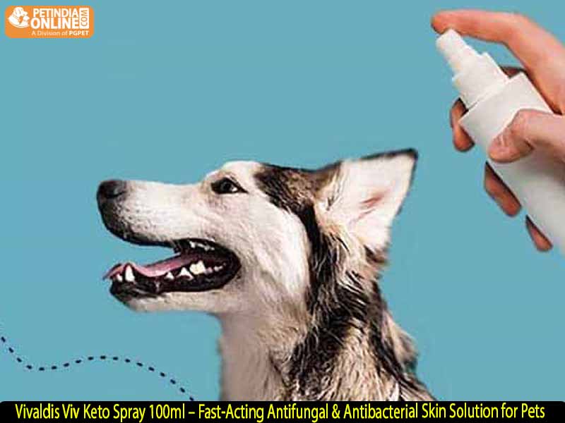 Vivaldis Viv Keto Spray 100ml – Fast-Acting Antifungal & Antibacterial Skin Solution for Pets