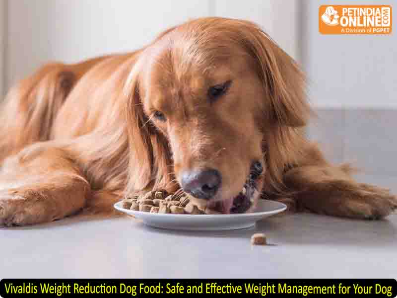Vivaldis Weight Reduction Dog Food: Safe and Effective Weight Management for Your Dog