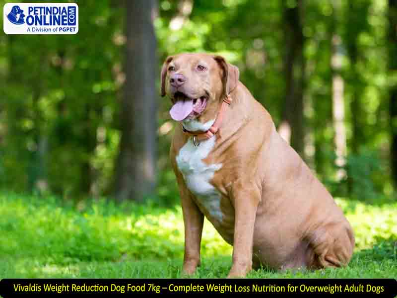Vivaldis Weight Reduction Dog Food 7kg – Complete Weight Loss Nutrition for Overweight Adult Dogs