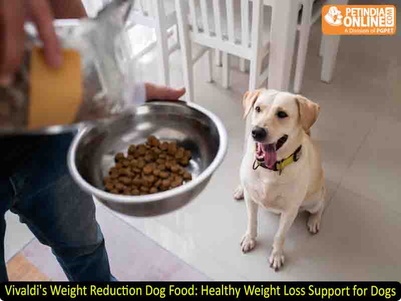 Vivaldi's Weight Reduction Dog Food: Healthy Weight Loss Support for Dogs