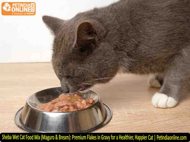 Sheba Wet Cat Food Mix (Maguro & Bream): Premium Flakes in Gravy for a Healthier, Happier Cat | Petindiaonline.com