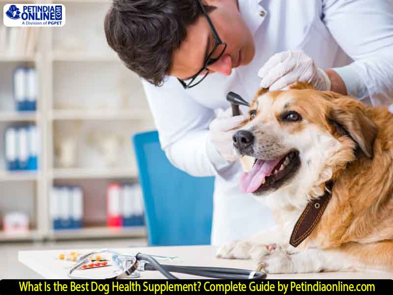 What Is the Best Dog Health Supplement? Complete Guide by Petindiaonline.com