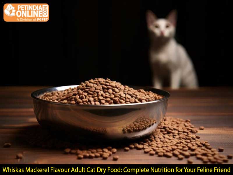 Whiskas Mackerel Flavour Adult Cat Dry Food: Complete Nutrition for Your Feline Friend