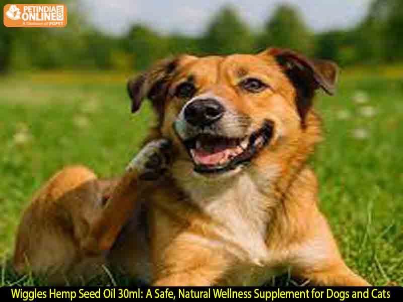 Wiggles Hemp Seed Oil 30ml: A Safe, Natural Wellness Supplement for Dogs and Cats